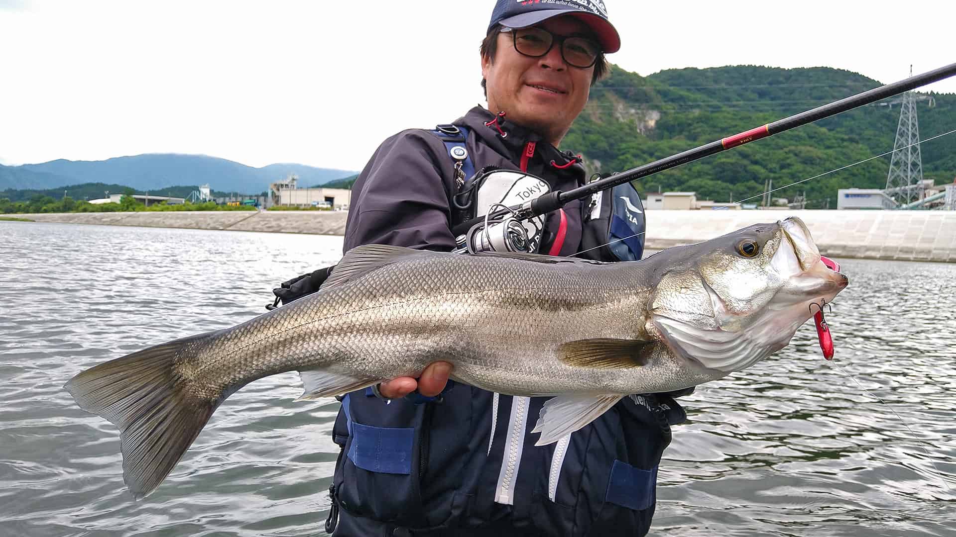 岩手日報社　航空写真で見る 新 岩手の海釣り　希少本　（けん） 新岩手の海釣り―航空写真で見る |本 | 通販 | Amazon