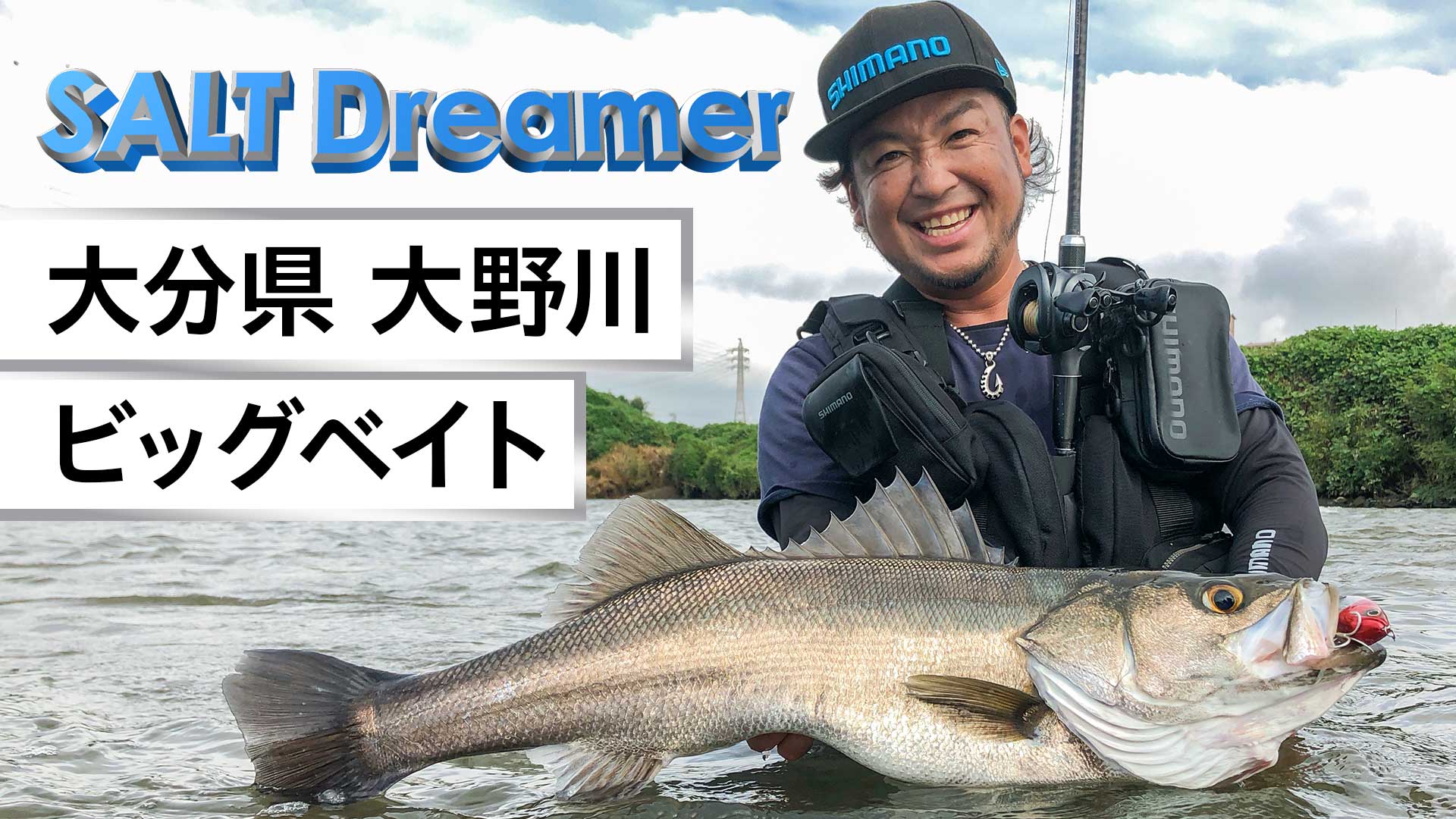 ジェネリックトラウト　ビッグベイト HIRA TOP | BASS | NORIES