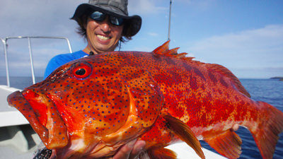 Rock'n Fish No.52 薩摩硫黄島ロックゲーム