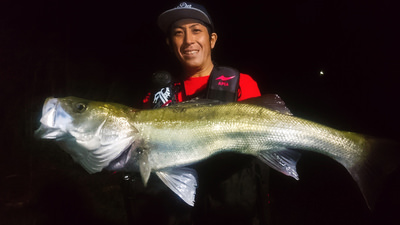 RUN＆GUN SALT 3 TONE RIVER MIDSUMMER SEABASS