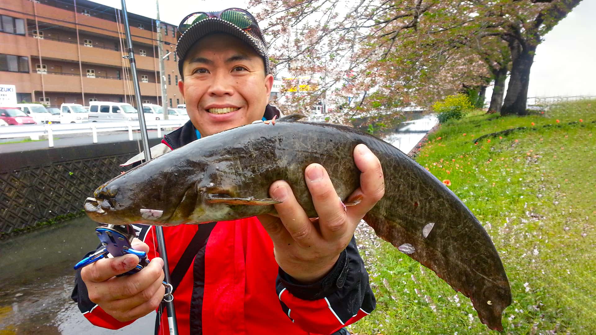 ヌルヌルなま～ず 1