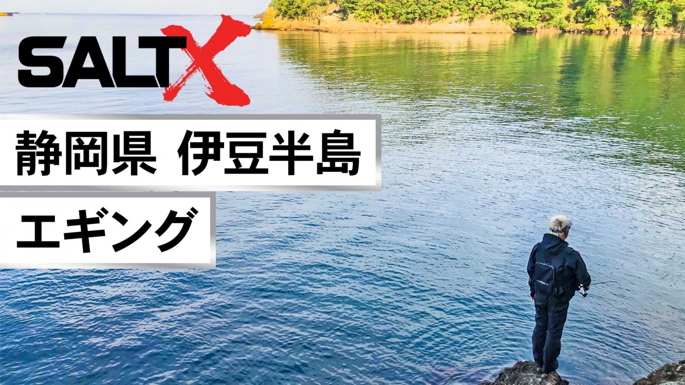 SALT X 26 伊豆半島の春イカ！エギングで大型個体を狙う