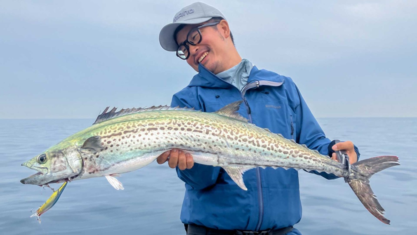 鳴門 ライトショアジギング SALT X | 42 大阪湾 ミノーのジャーキングで狙うサワラ・青物 | 釣りビジョンVOD