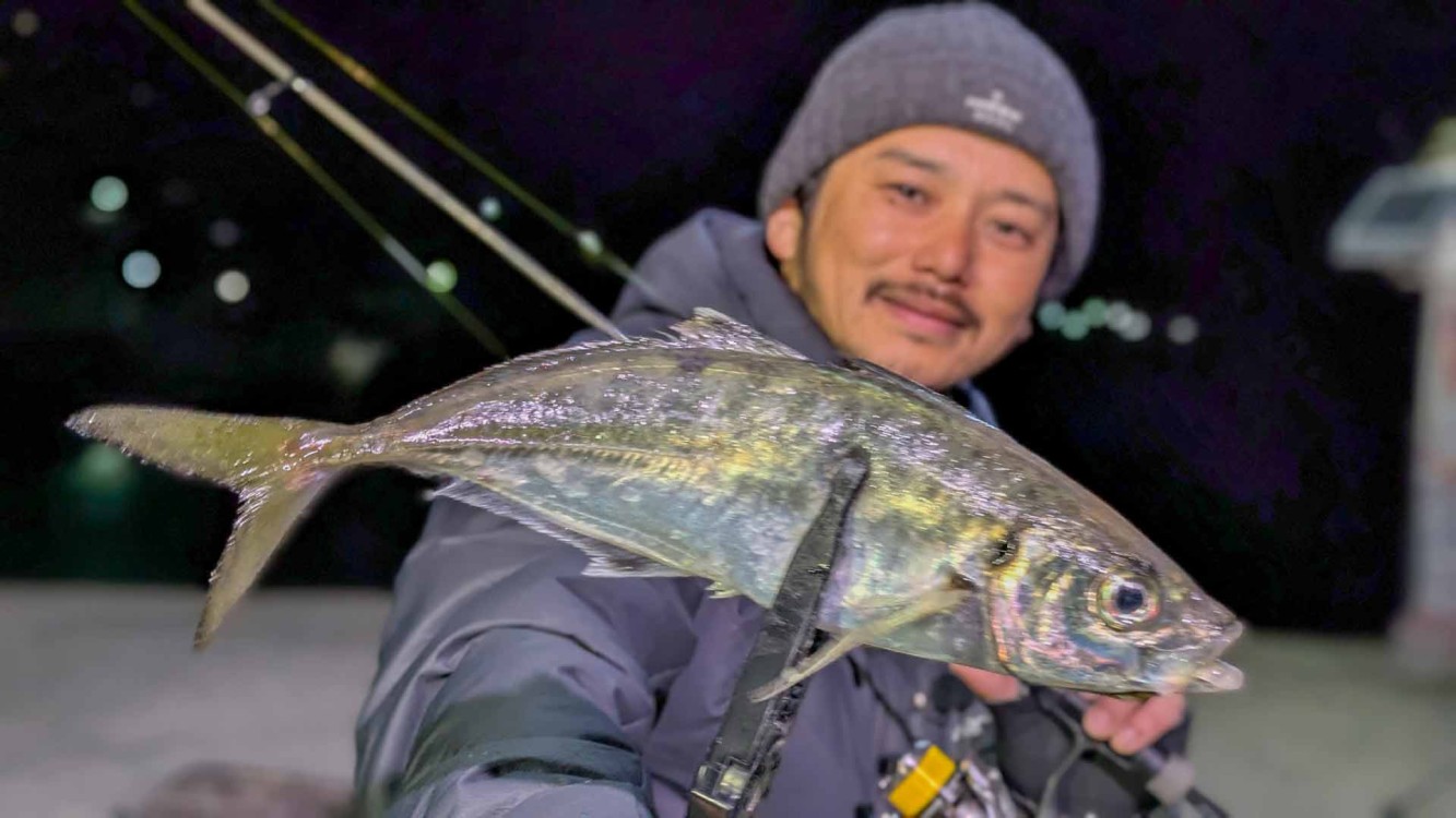 Azing Lab.2nd 74　山口県祝島で再現性を高めるアジングメソッド