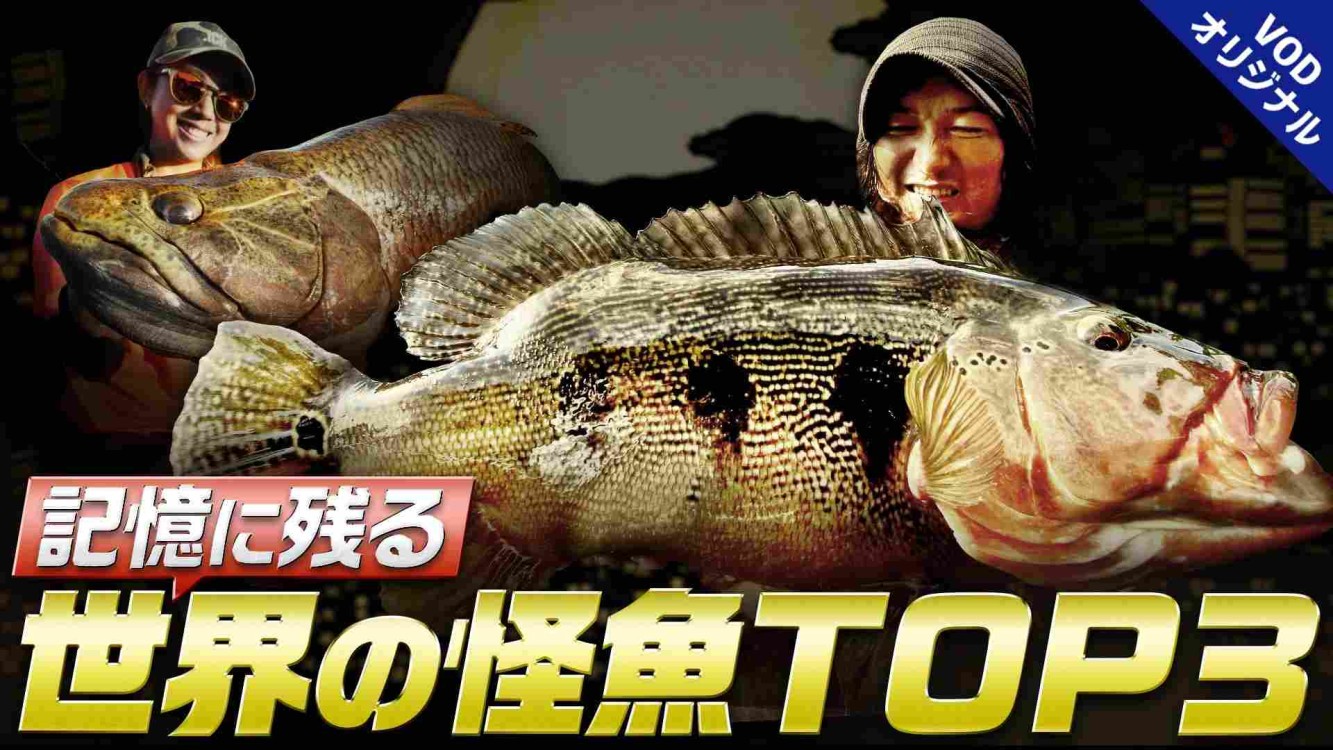 夜マヅメの語るシス～極み～ 4 世界の怪魚釣行 PART2