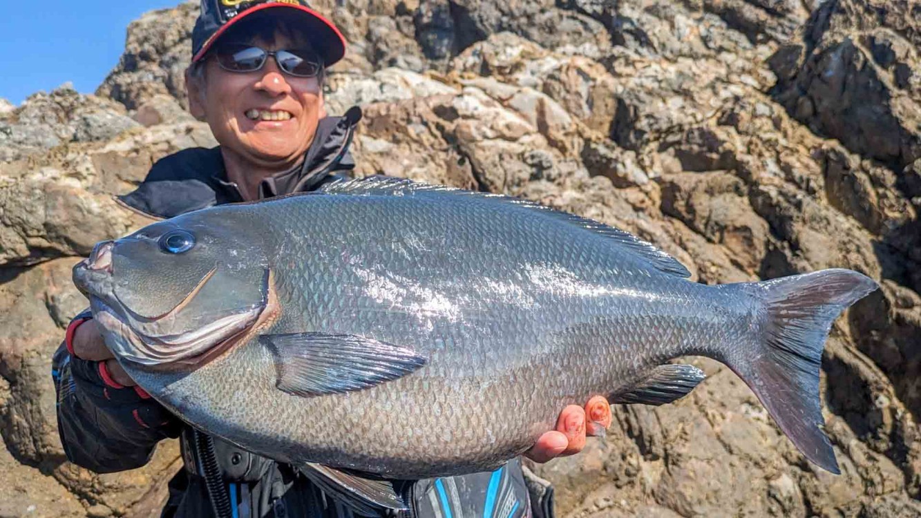 G WORLD | 38 高知県鵜来島で共闘 シーズン初期の巨大尾長グレに挑む