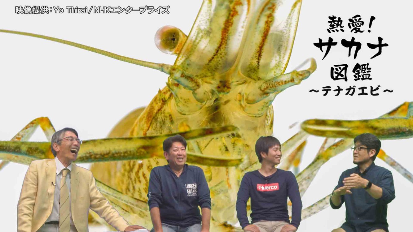 熱愛！サカナ図鑑 | 釣りビジョンVOD
