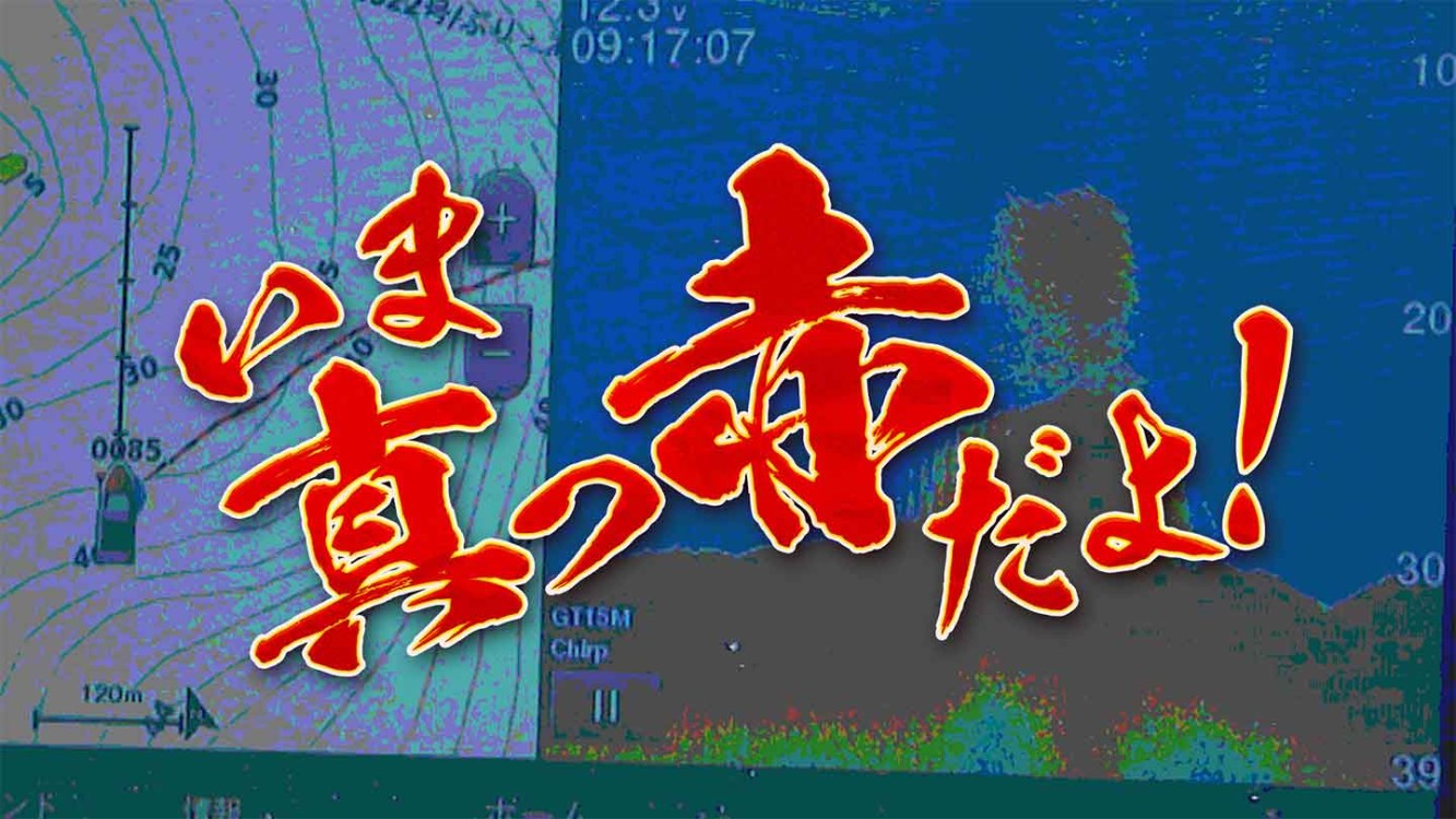 いま真っ赤だよ！ 9 ～夏の風物詩・鮎釣り特集～