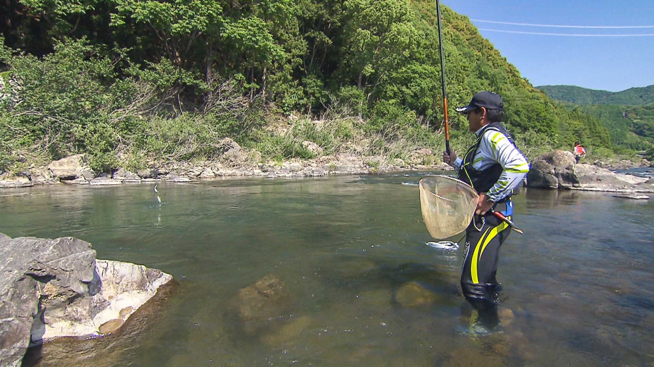 鮎2013 | 地元名手が釣る初夏の有田川 | 釣りビジョンVOD