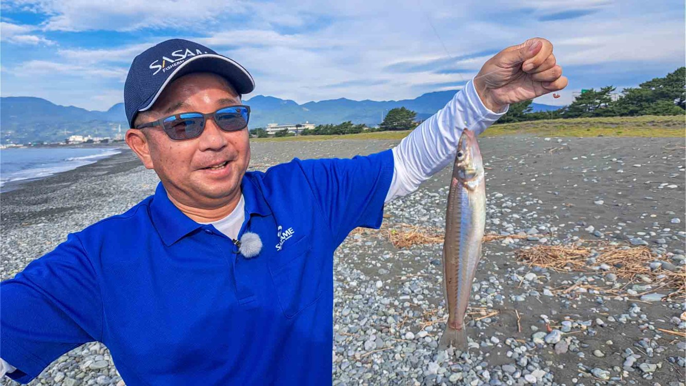 投げ釣りギャラリー 神奈川西湘サーフ 土用隠れ！？のキス探し