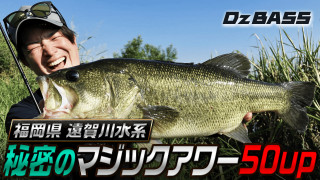 福岡県・遠賀川のビッグフィッシュをオカッパリで攻略