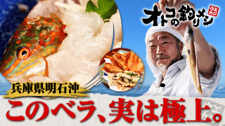 オトコの釣りメシ 42 兵庫県明石沖のキュウセン