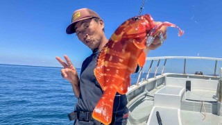 アナタに釣っていただきます！ 33 ロックフィッシュ×河辺裕和