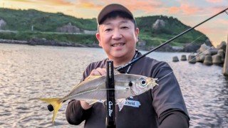 青色アジング 9 猛暑回避の効率戦！男鹿半島涼感アジング