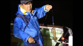 熟練の技！ 塩釜の夜釣り －スルメイカー