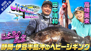 【巨大魚現る】巨大魚の巣窟！伊豆半島沖でヘビージギング