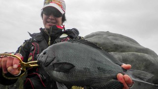 楽釣楽磯宣言 14 和歌山県すさみエリア 水温低下 苦行の寒グレ攻略！