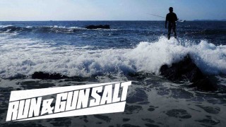 RUN＆GUN SALT 東京湾奥シーバスハンティング ボート＆ウェーディング