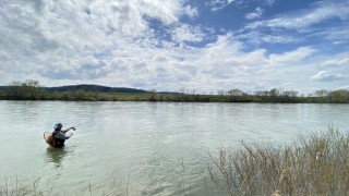 TROUT QUEST 30 秋田県米代川のサクラマス