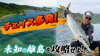 メタルバスター ROUND46 VS 新潟県粟島のヒラマサ