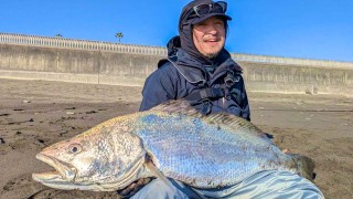 ぶらりバスの旅 TRIP54 新年早々運の前借り！？初宮崎でチキンにパンにモンスター確保！