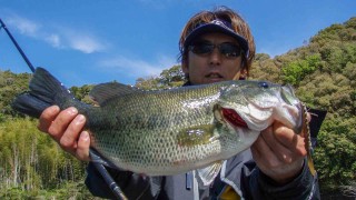 D-IMPACT Documentary-18　春の激タフコンデション　四国にサンクチュアリを見た