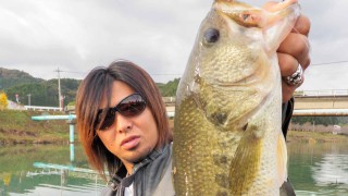 2026年最新】高知県宿毛港・新田 あき丸の釣果詳細|釣りビジョン