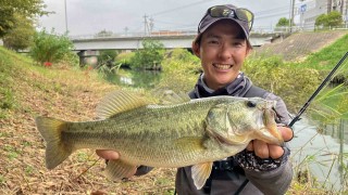 follow my F 36 愛知のタイダルフィールド・油ヶ淵を歩く