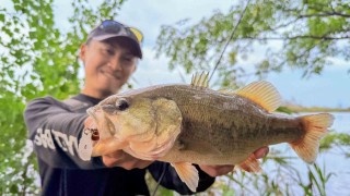 B-SNIPER 11 秋の岡山県倉敷川 ハイプレッシャーフィールドをスナイプ