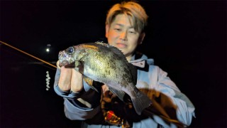 SALT X | 42 大阪湾 ミノーのジャーキングで狙うサワラ・青物