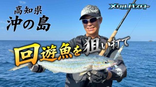 メタルバスター 43 高知県沖の島の回遊魚