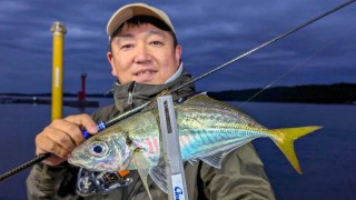 青色アジング 10 秋の三重県渡鹿野島でナイトアジング！