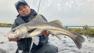 【徳島シーバス】デイでもナイトでも爆釣劇！