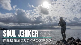 【徹底解説】川上英佑が青森県でアオリイカ連発！