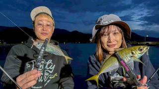 アジングへ行こう！ 53 アジングの楽園 愛媛県佐田岬半島を攻略