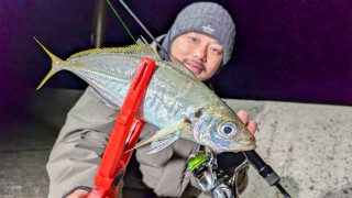 Azing Lab.2nd 77 常夜灯無し？長崎県のディープアジング＆鯵づくしキャンプ