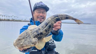 海釣り幕営 12 メーターオーバーも夢じゃない！？ 鹿児島のマゴチ