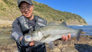 【貴重】ヒラスズキゲームのノウハウ・理論を大公開