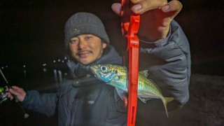 Azing Lab.2nd 78 10年ぶりの平郡島でパラダイス発見！