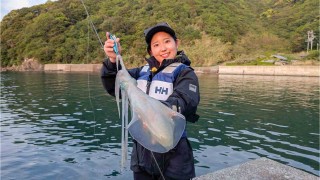 とことんエギパラダイス 172 愛媛県戸島の旅 初代おねぃさんと念願達成！！