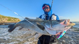 シーバス無双 14 石川県能登半島 戸澤岳雄