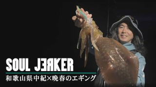 SOUL JERKER 30 和歌山県中紀エリア×晩春攻略
