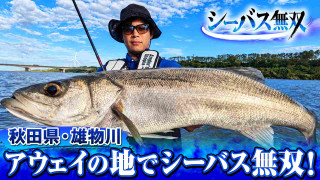 熊本の雄・山本高彰が初めての地・雄物川でランカーキャッチ