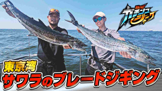 2026年最新】神奈川県金沢八景 野毛屋釣船店の釣果詳細|釣りビジョン
