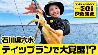 とことんエギパラダイス 175 石川県穴水の旅 由佳おねぃさん大覚醒なり！？