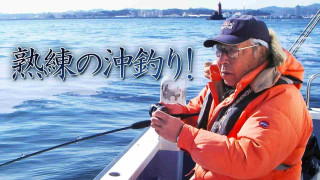 熟練の沖釣り！ 下田・須崎のイサキ釣り