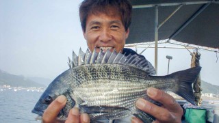 チヌ道一直線 其の十三  いざ！激流のかかり釣り 真夏の徳島 小鳴門