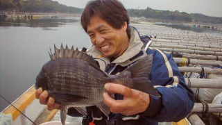 チヌ道一直線 其の十七 乗っ込みチヌは桜と共に 的矢湾三ヶ所