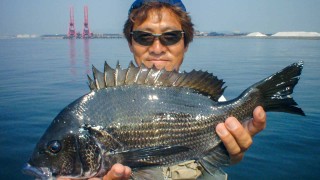 チヌ道一直線 其の十九　灼熱の姫路・飾磨港での落とし込み