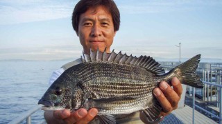 チヌ道一直線 其の二十六　山本太郎直伝　落とし込みの極意を伝授する